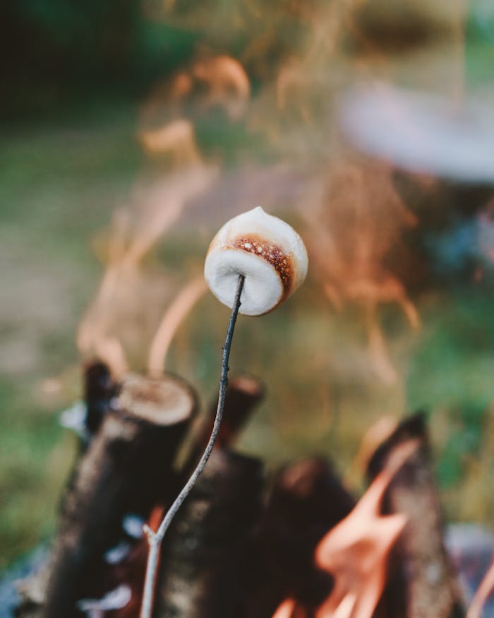 Close-up of a marshmallow roasting over an outdoor campfire with flames and wood.