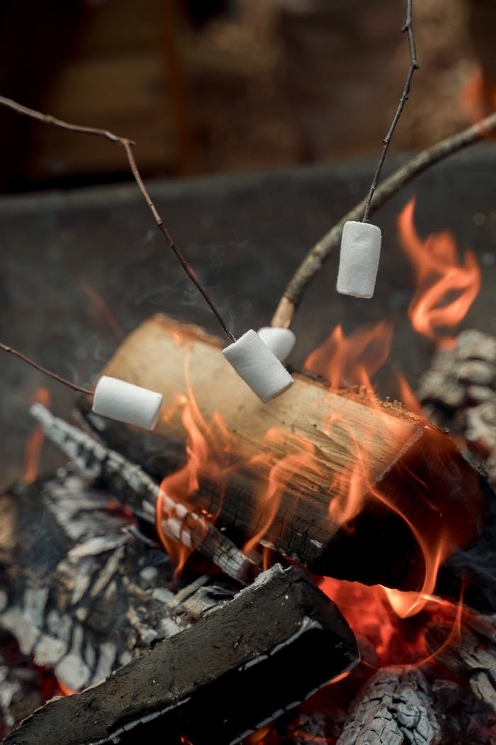 Close-up of marshmallows roasting over an open fire, perfect for camping scenes.